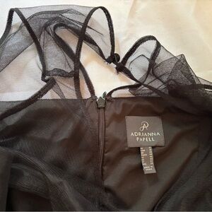 Adrianna Papell Sheer Black Mesh Gown